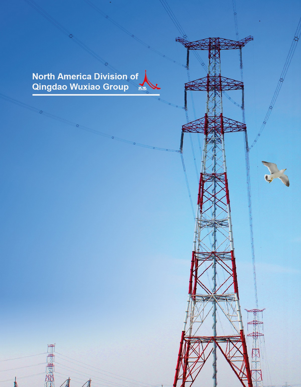 HANS STEEL brochure page 2